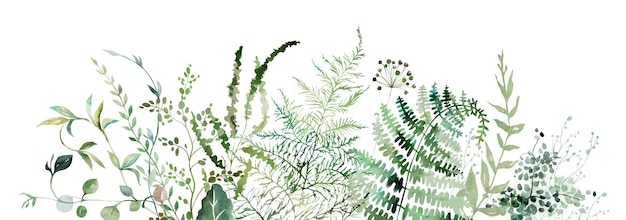 Zdjęcie granica z akwarelową paprocią i zielonymi liśćmi botanicznymi izolowana ilustracja ślubu