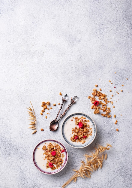 Zdjęcie granola z jogurtem i suszonymi malinami