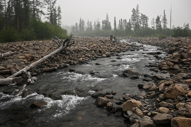 Grayling Creek na płaskowyżu Putorana