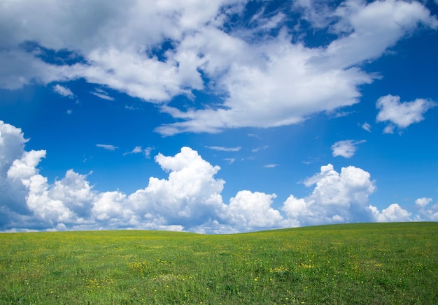 green field