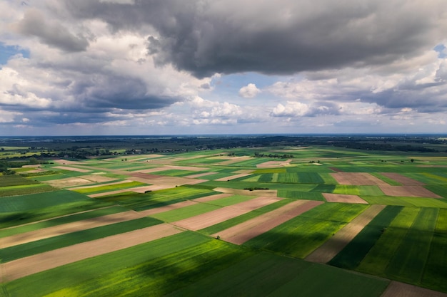 Green Lush Farm Pola i łąki w Polsce na wiosnę