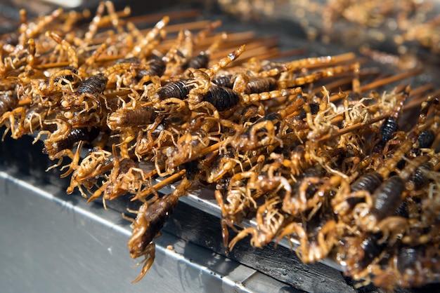 Zdjęcie grill i smażone skorpiony na patyku