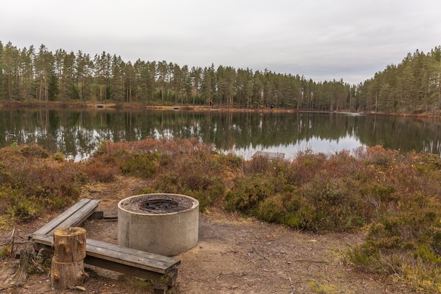 Zdjęcie grill nad jeziorem w lesie, miejsce do grillowania nad szwedzkim jeziorem