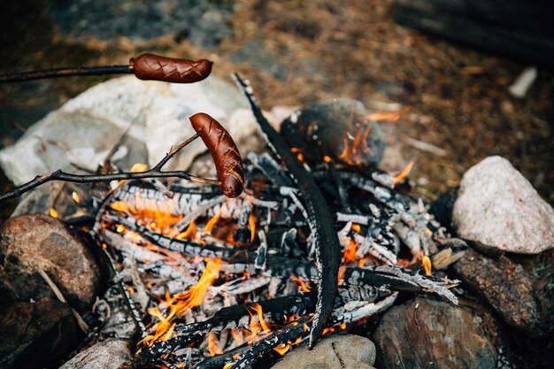 Grillowane kiełbaski nad ogniskiem w letnim lesie