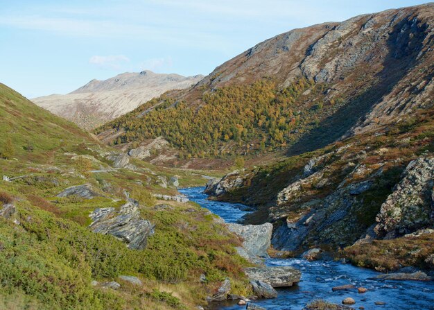 Zdjęcie grimsdalen norwegia