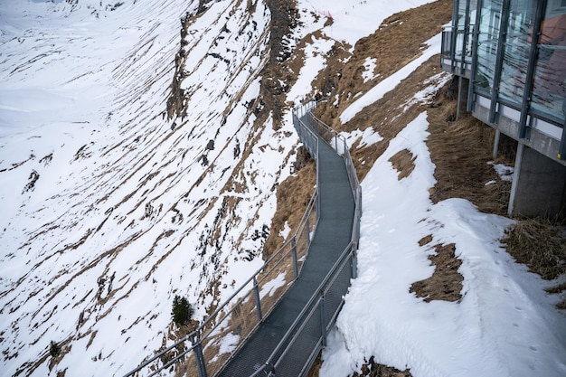 Grindelwald pierwsza Szwajcaria xAFirst Cliff Walk platforma widokowa na pierwszej górze w Grindelwald z alpejskimi widokami