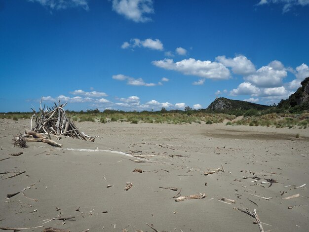 Zdjęcie gromada drewna pływającego na plaży na tle nieba