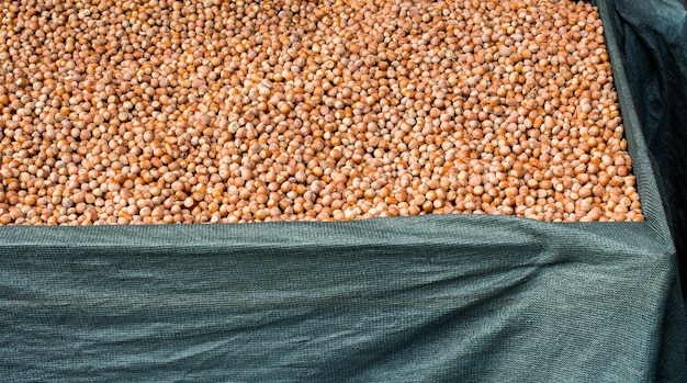Zdjęcie gromada łuszczących się orzechów w widoku