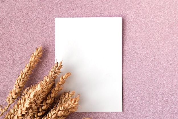 Gromada uszu pszenicy i biała maketa pusta na różowym tle błyszczącym Koncepcja rolnicza w stylu minimalistycznym Kopiuj przestrzeń dla tekstu