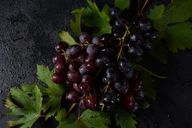 Grono granatowych/czarnych winogron z liśćmi na czarnym tle