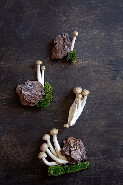 Grono świeżych brązowych grzybów shimeji z bliska grzyby shimeji na drewnianym tle