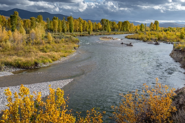 Gros Ventre River w Wyoming