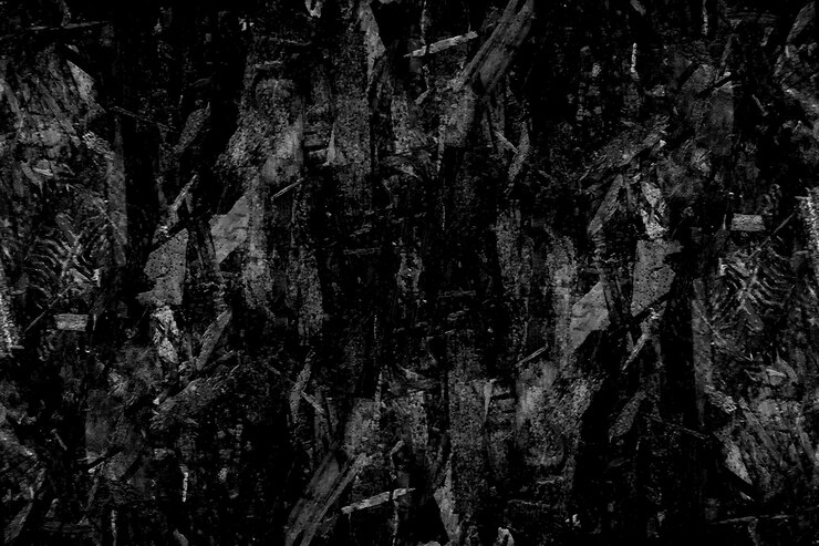 Grunge tekstur czarny