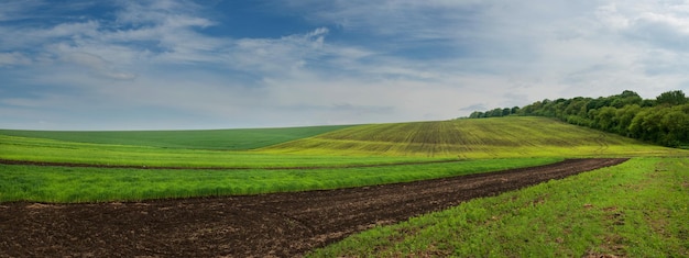 Grunty orne i zielone pole Pojęcie rolnictwa Pochmurne niebo wzgórza i las w tle