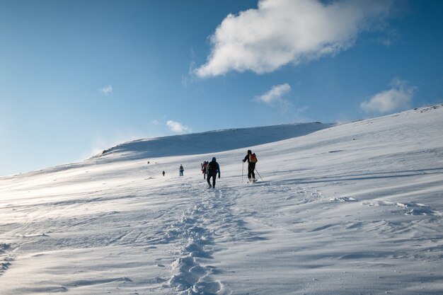 Grupa alpinista wspinaczka na zaśnieżone wzgórze i błękitne niebo w zimie na Lofotach, Norwegia