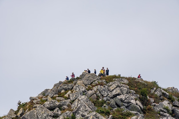 Grupa alpinistów i turystów na szczycie skalistej góry z mchem i porostami pod szarością