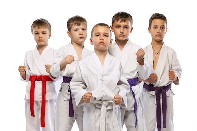 Grupa chłopców dzieci sportowców sztuk walki pozuje w kimono na białym tle na białym tle studia