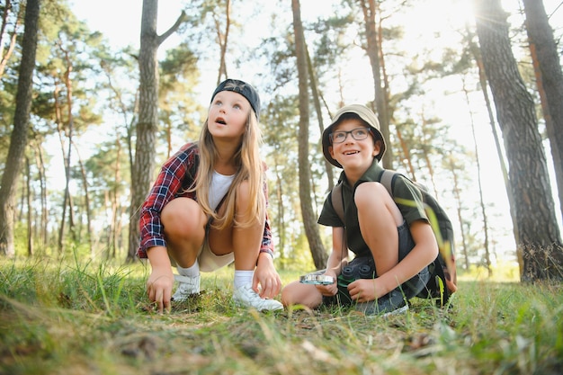 Grupa ciekawskich, szczęśliwych dzieci w wieku szkolnym w zwykłych ubraniach z plecakami eksplorujących wspólnie przyrodę i las w słoneczny jesienny dzień