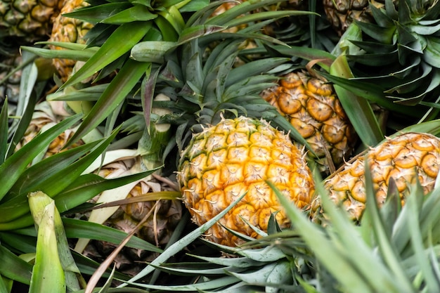Grupa dojrzałych ananasów na sprzedaż na rynku świeżym