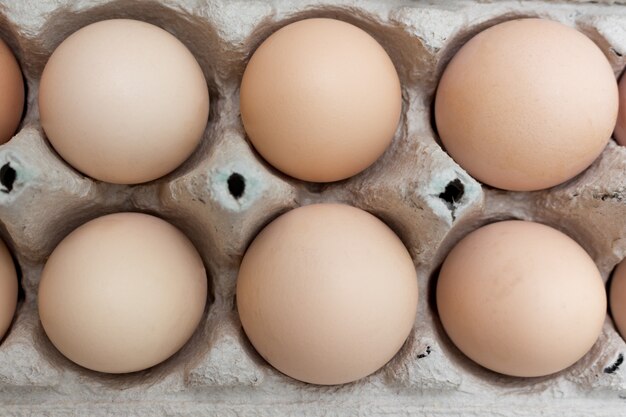 Zdjęcie grupa jaj kurzych w polu jaj papieru taca. motyw wielkanocny