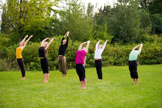 Grupa joginów na trawniku