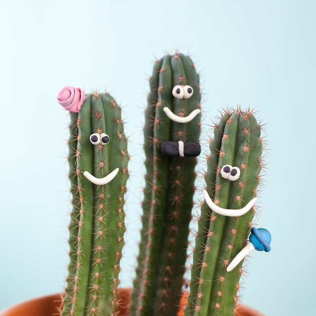 Grupa koncepcyjna kaktusów w doniczce o śmiesznej twarzy - wizerunek rodziny od mamy, taty i dziecka