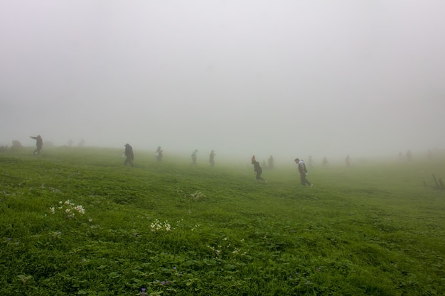 Grupa ludzi idąca ścieżką z kwiatów bzu, zielonych roślin i zachmurzonego nieba