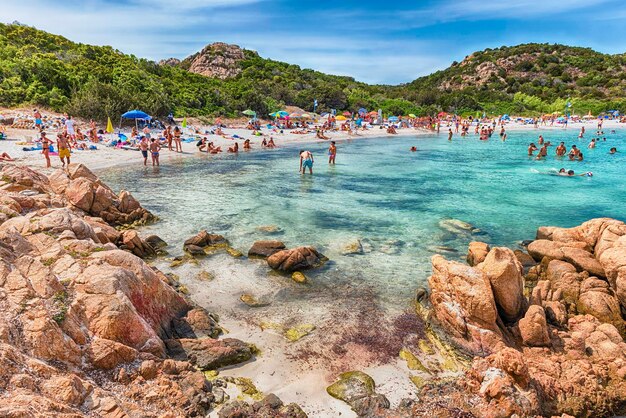 Zdjęcie grupa ludzi na plaży