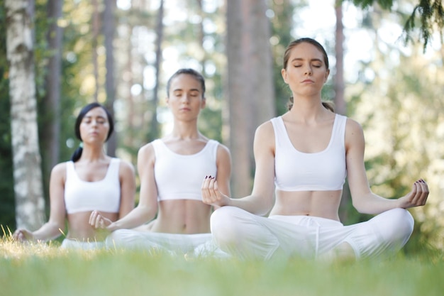 Zdjęcie grupa ludzi uprawiania jogi