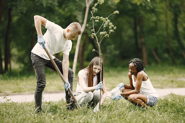 Zdjęcie grupa młodych wolontariuszy w parku. sadzą sadzonkę drzewa.