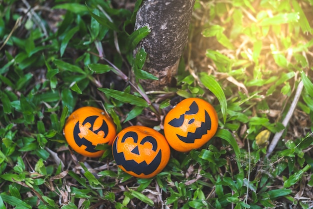 Grupa pomarańcze stawia czoło obraz z strasznym na Halloween partyjnym dniu przy ogrodowym miejscem.