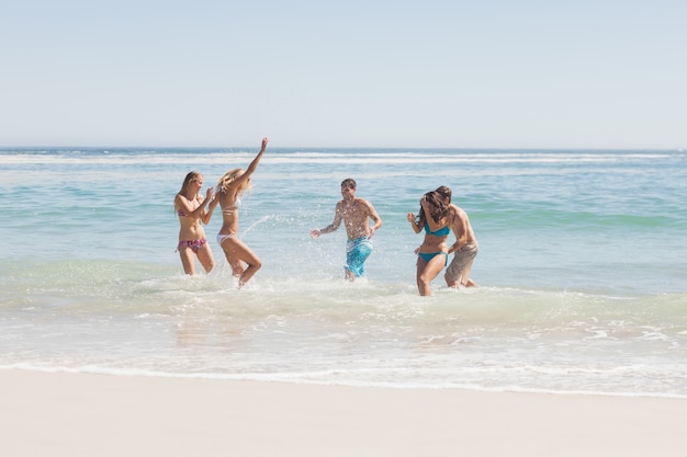 Grupa przyjaciele ma zabawę na plaży