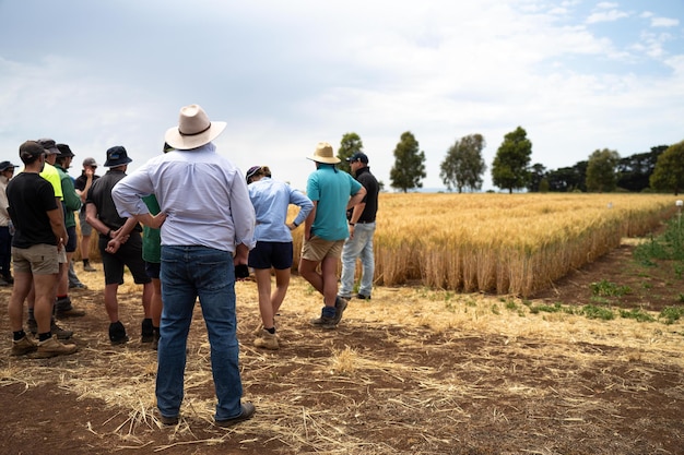 Grupa rolników prowadząca spacer po uprawach, ucząca się o zdrowiu upraw i agronomii od agronomu rolniczego o próbach pszenicy i jęczmienia