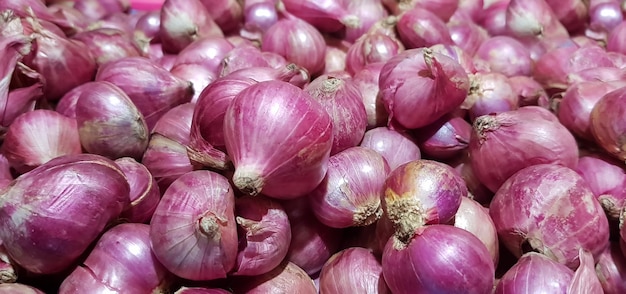 Grupa Shallots cebula Świeże fioletowe szaloty lub Allium cepa zdjęcie z bliska