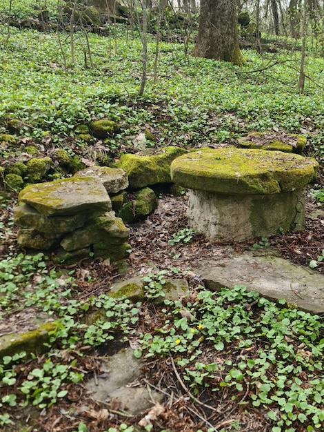 Grupa skał porośniętych mchem i mała skalna ławka pośrodku lasu.