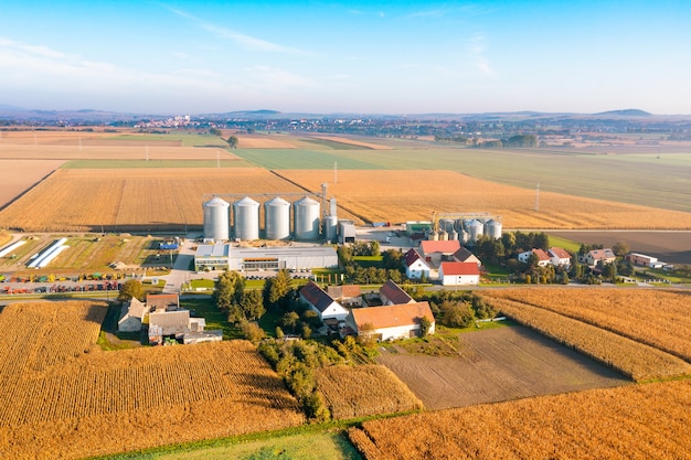 Grupa spichlerzy do przechowywania pszenicy i innych zbóż. Duże gospodarstwo rolne w środku pola. Fotografia lotnicza