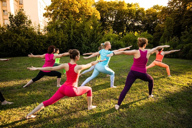 Grupa sportowych atrakcyjnych młodych kobiet ćwiczących jogę na łonie natury