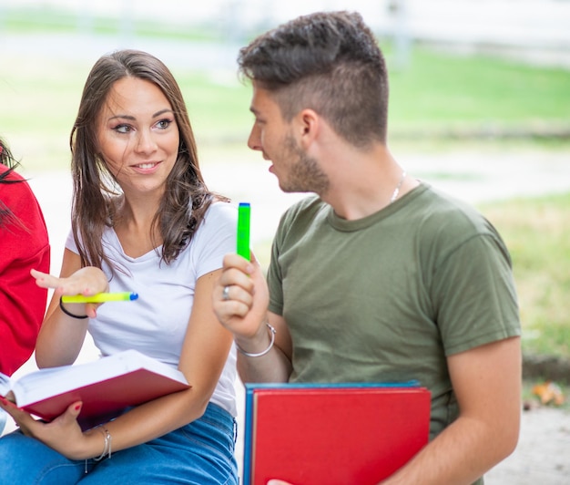 Grupa studentów studiujących na świeżym powietrzu w parku