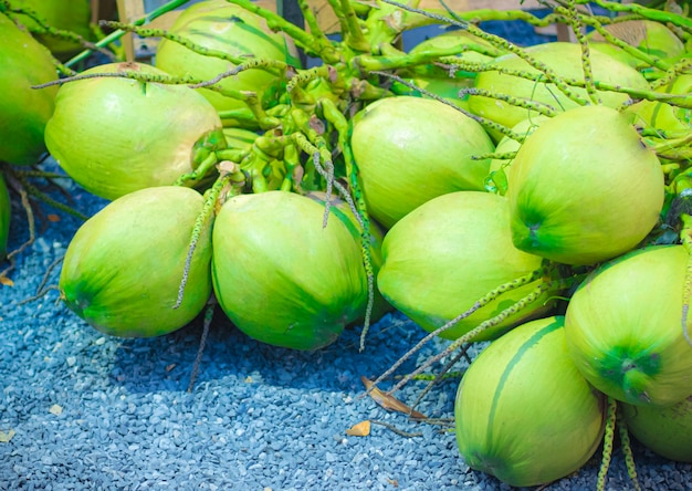Grupa świeżego zielonego kokosa do surowej żywności i zdrowych napojów