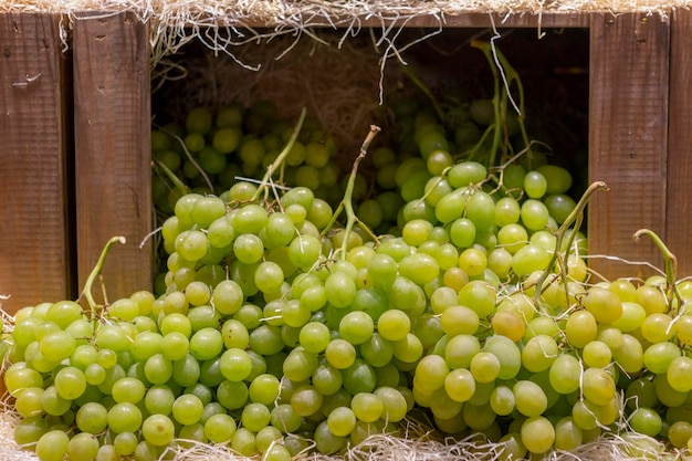 Grupowe zdjęcie zielonych winogron spiętrzonych na targu
