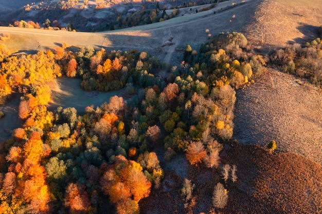Grzbiet górski pokryty terakotowymi lasami i żywymi pożółkłymi drzewami pod szarym zachmurzonym niebem na ponurym jesiennym dniu panoramy