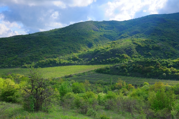 Grzbiety leśne, seria krajobrazów, Krym, Ukraina.