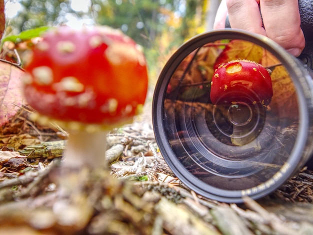 Zdjęcie grzyb odzwierciedlający się w obiektywie kamery, podczas gdy fotograf robi zdjęcie