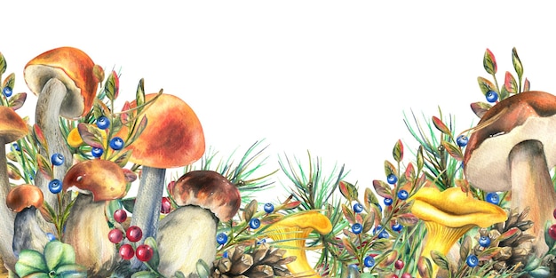 Grzyby leśne borowiki kurki i jagody borówki brusznice gałązki szyszki liście akwarela ilustracja ręcznie rysowane szablon na białym tle
