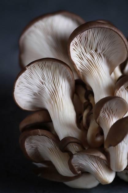 grzyby pleurotus na stole