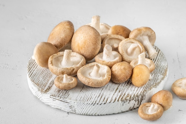 Grzyby shiitake