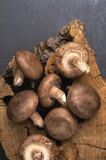 Grzyby shiitake