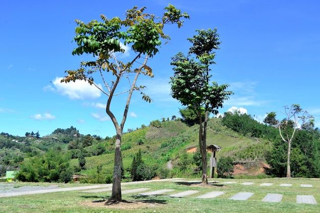 Guatape Antioquia Kolumbia