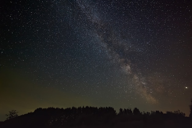 Gwiazdy Galaktyki Drogi Mlecznej Na Nocnym Niebie. Kosmiczne Obiekty Nad Lasem.