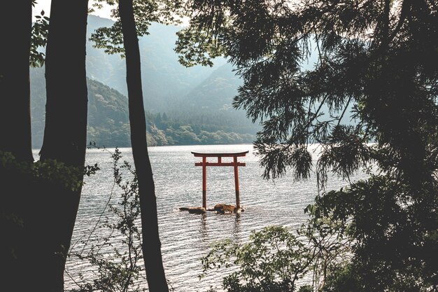 Zdjęcie hakone - kanagawa - japonia